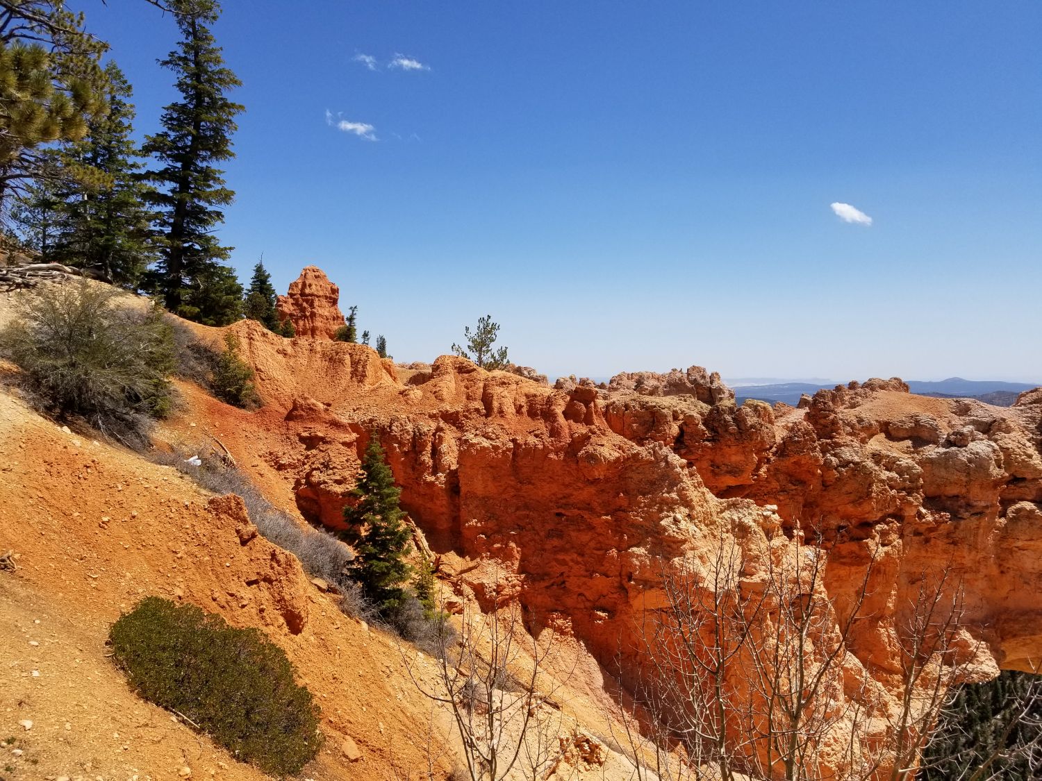 Natural Bridge 